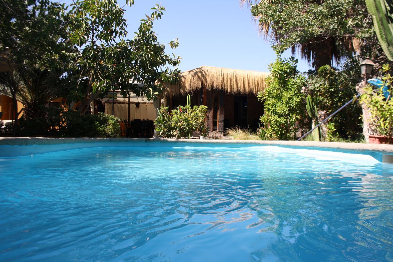 Tikay Suite Hotel Copiapó Buitenkant foto